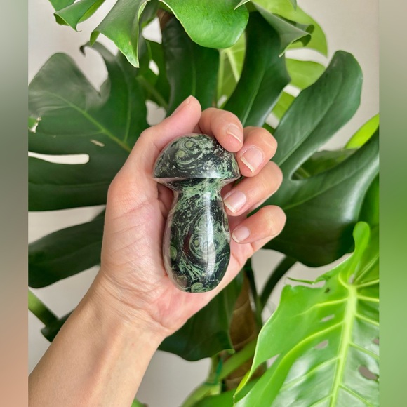 Kambaba Jasper Mushroom - Picture 2 of 4